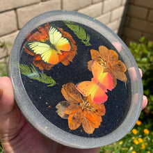 Load image into Gallery viewer, Dried Flower and Butterfly Tray