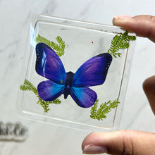 Load image into Gallery viewer, Clear and Gold Butterfly Trinket Box