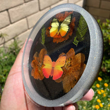 Load image into Gallery viewer, Dried Flower and Butterfly Tray
